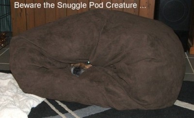 In the snuggle pod